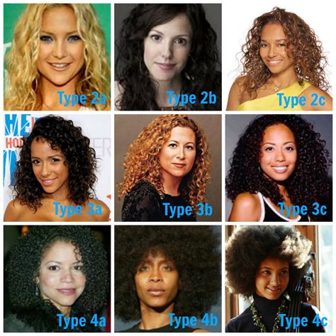 thick hair type chart